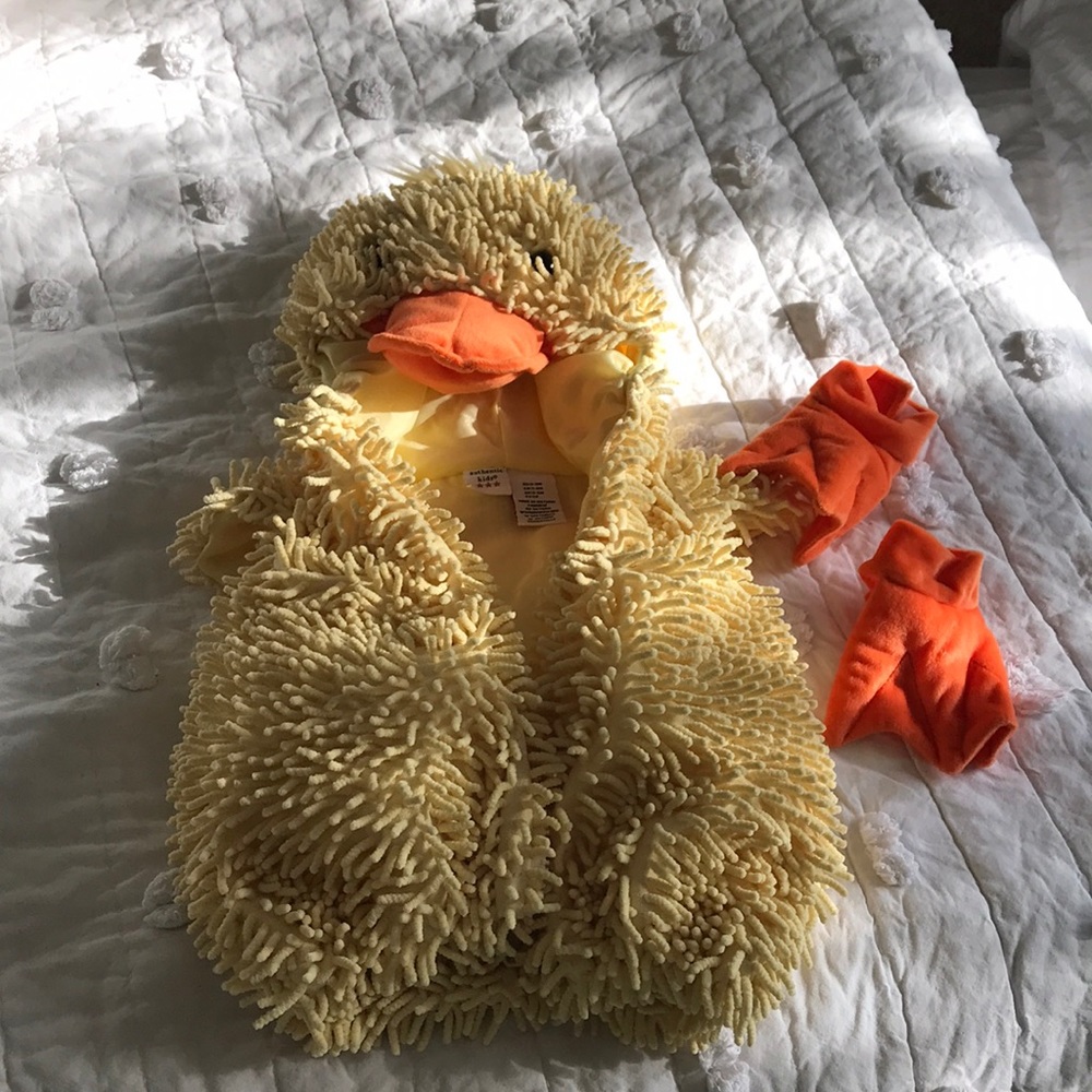 Chenille duck costume